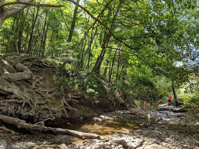 Bear Hollow Park - Image 1