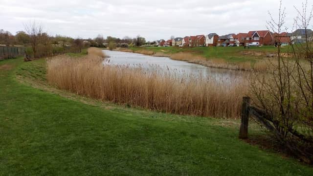 Southfield Farm Marsh - Image 1