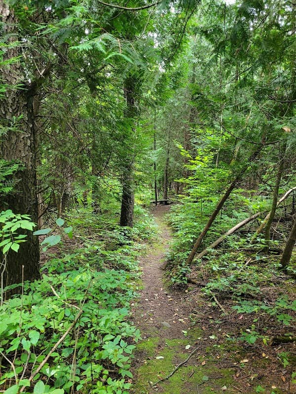 Willoughby Nature Reserve - Image 2