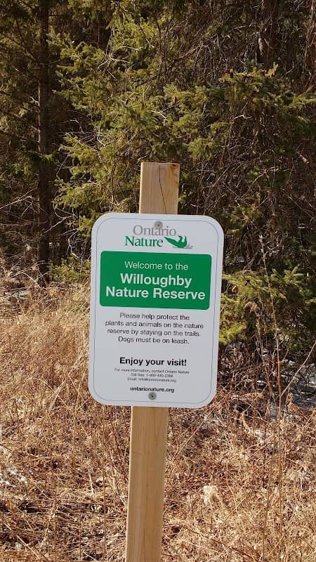 Willoughby Nature Reserve - Image 1