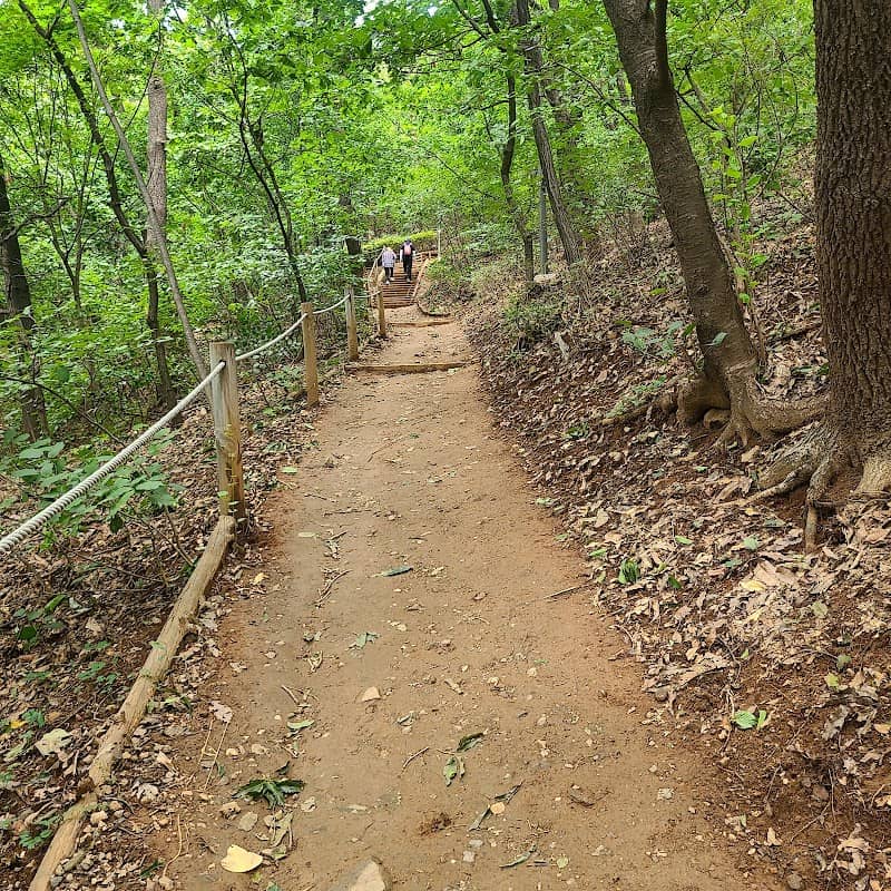 Seoripul Park - Image 2