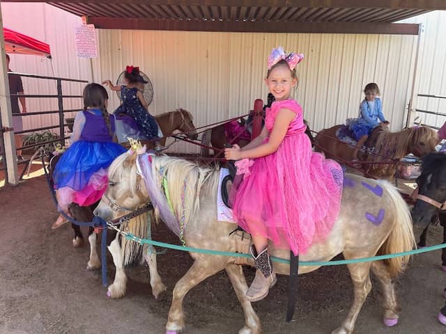 Chester's Party Barn & Farm - Image 1