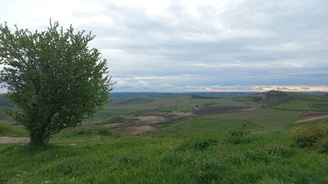 Pădurea Săbed - Image 2