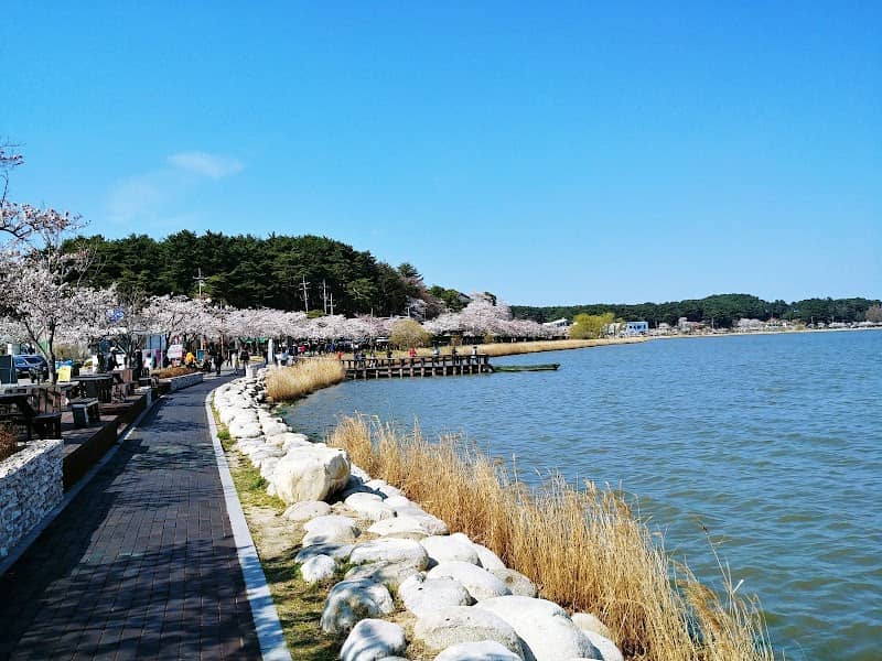 Gyeongpo Lake - Image 1