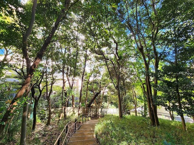 Takanawa Mori No Park - Image 1