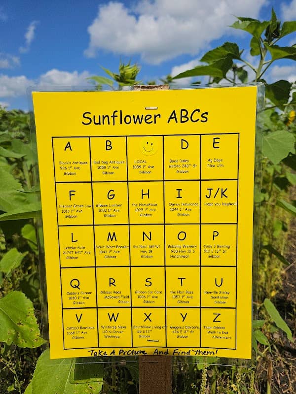 Gibbon Sunflower Field - Image 1