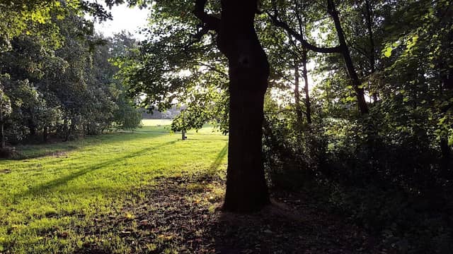 King George V Memorial Playing Field - Image 2