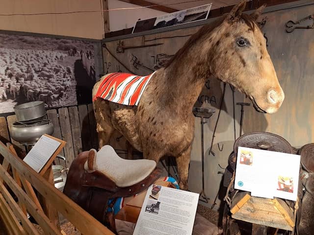 Fremont County Pioneer Museum - Image 2