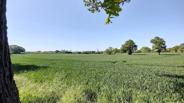 The Orchard Highfield Park - Image 2
