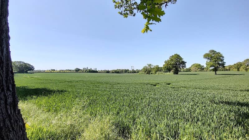 The Orchard Highfield Park - Image 2
