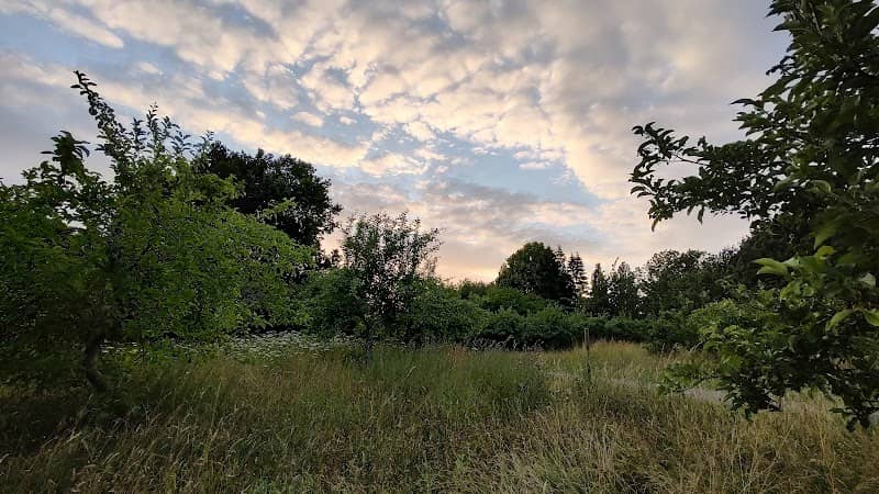 The Orchard Highfield Park - Image 1