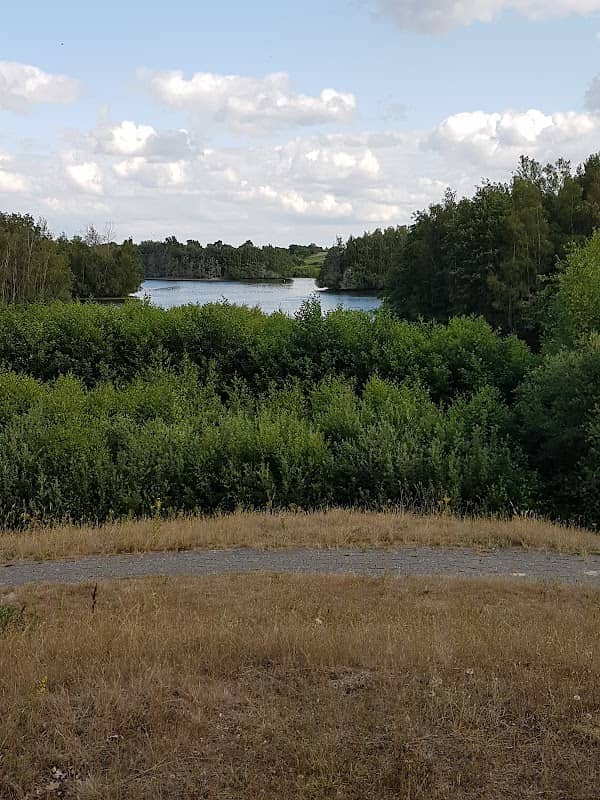Biotop am Speicherbecken Geeste - Image 1