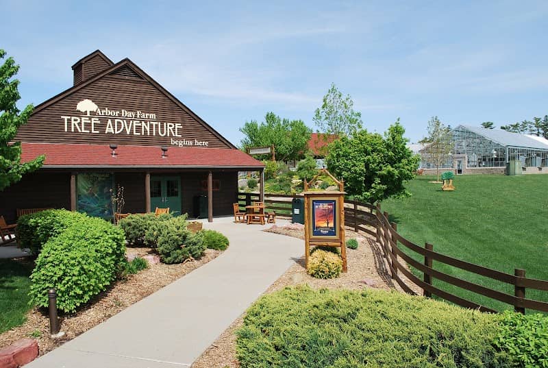Tree Adventure - Image 1