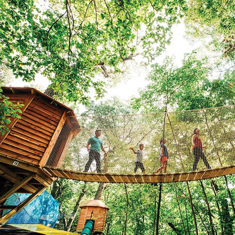 Tree Adventure - Image 2