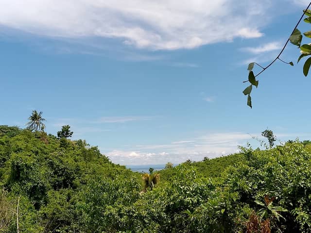 sitio Naya. - Image 2