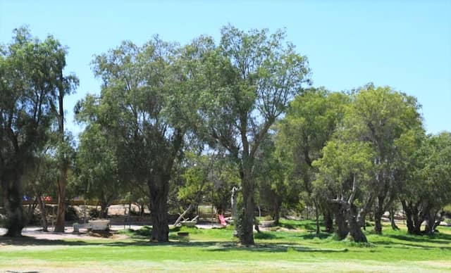 El Pretil Park - Image 1