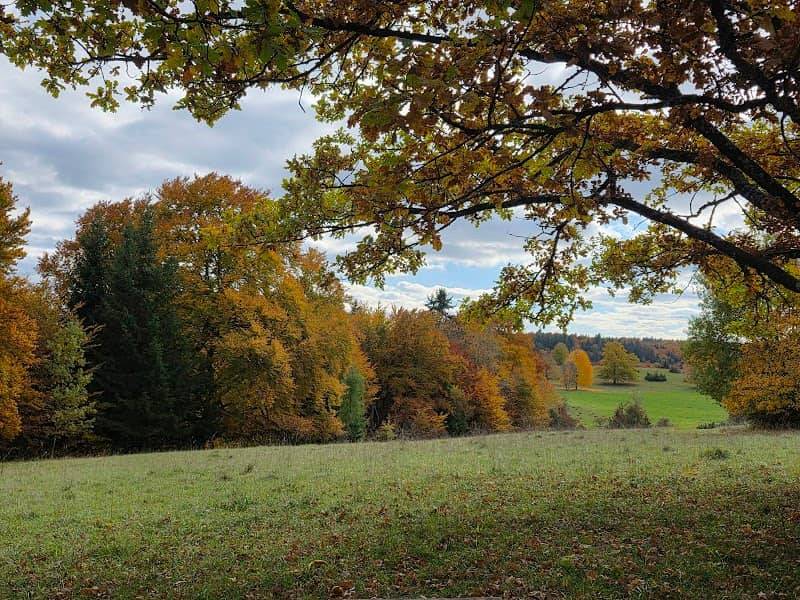 Arboretum Beutenlay - Image 1