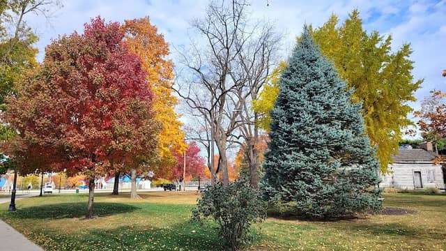 Lebanon Parks & Recreation - Image 3
