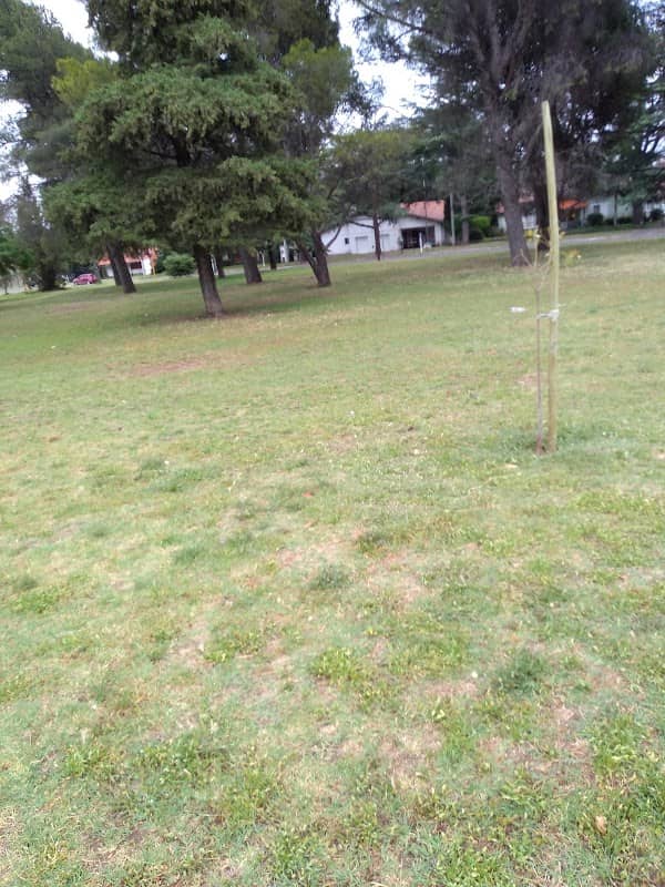 Plaza Central - Image 1