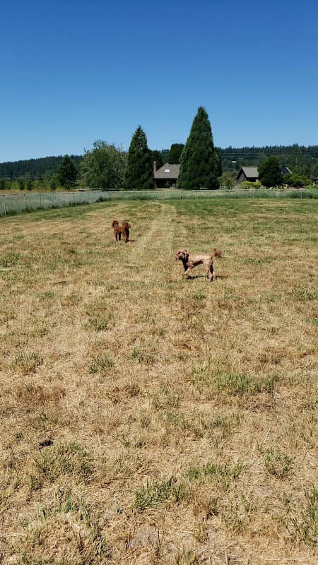 Belfair Bark Park - Image 2