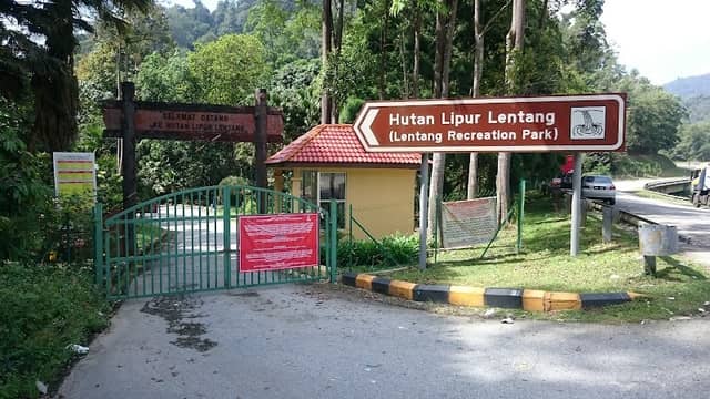 Lentang Forest Reserve - Image 1