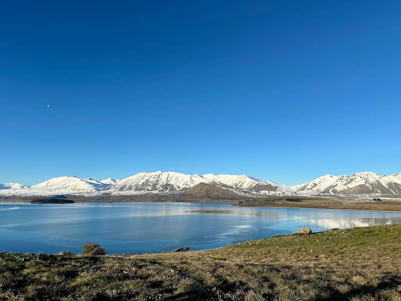 Lake Tekapo Farm Tours - Image 3