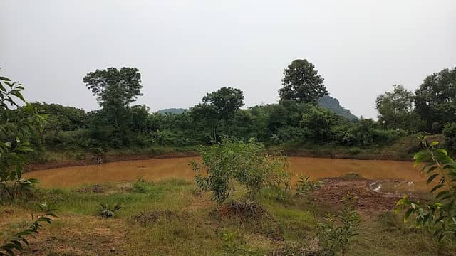 Yerraya's feild peddapalli - Image 1