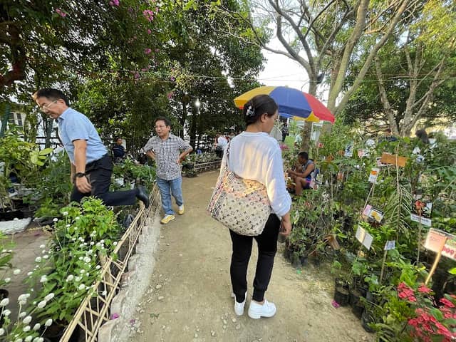 City park - Image 1