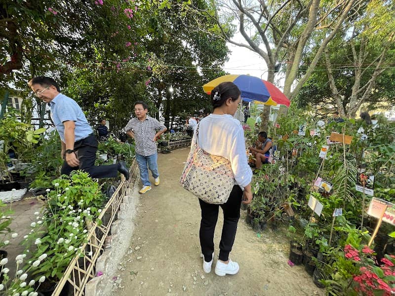 City park - Image 1