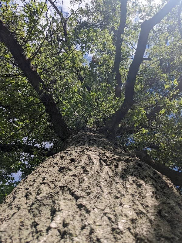 Rest stop - Image 1