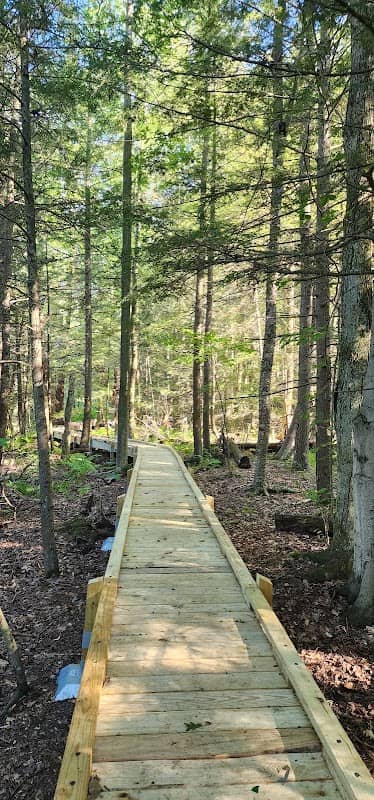 Duck Creek Natural Area - Image 2