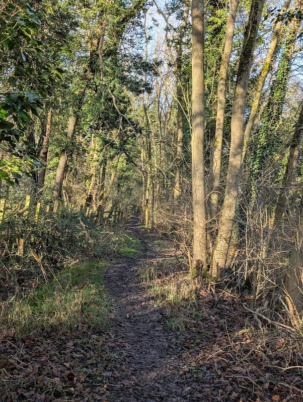 Pingle Cutting - Image 1