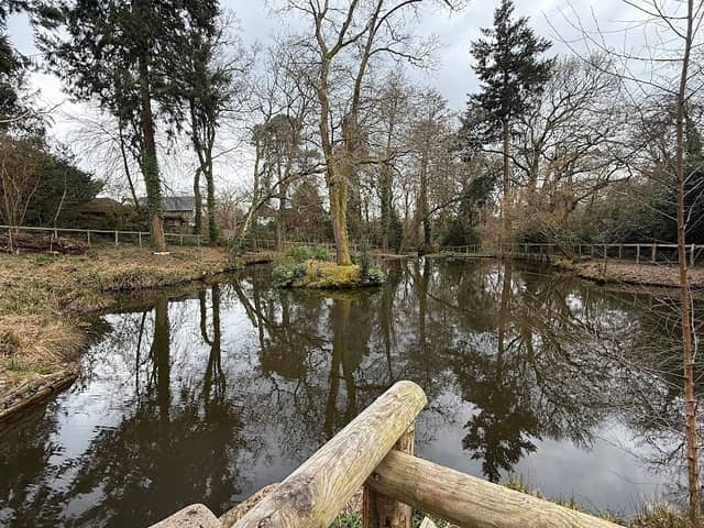 Duck Island - Image 2