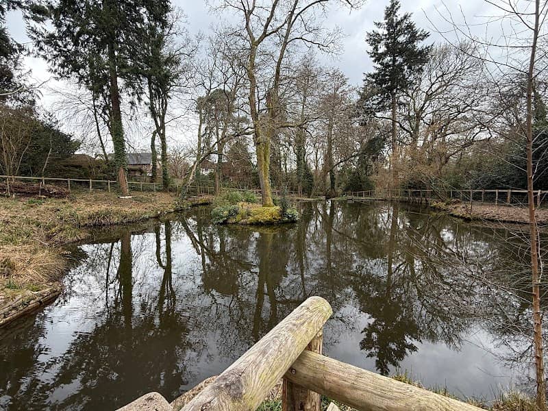 Duck Island - Image 2