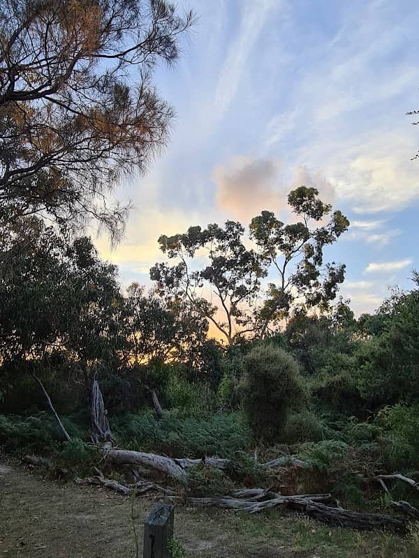 Long Hollow Heathland - Image 1