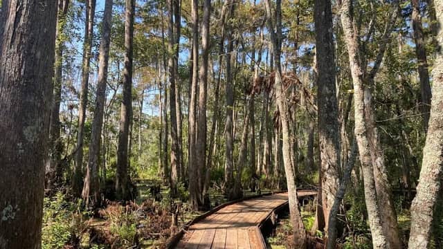 Barataria Preserve Visitor Center - Image 1