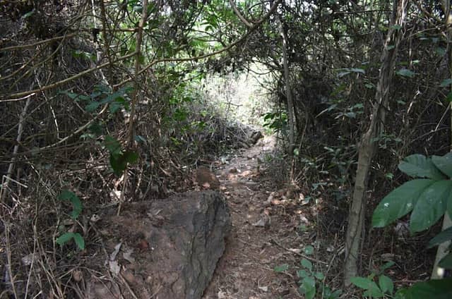 Velagada hills - Image 1
