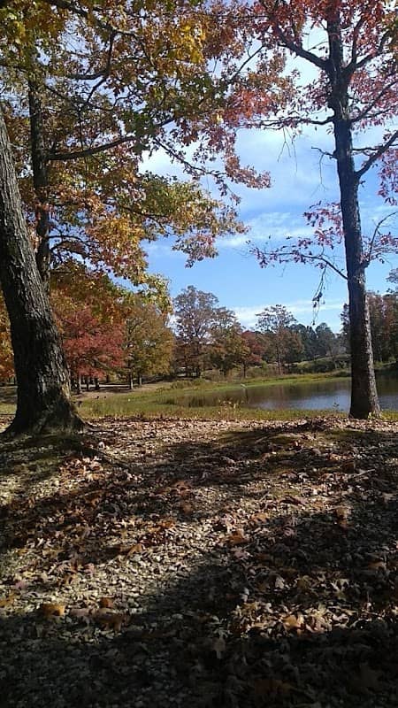 Baugh Park - Image 1