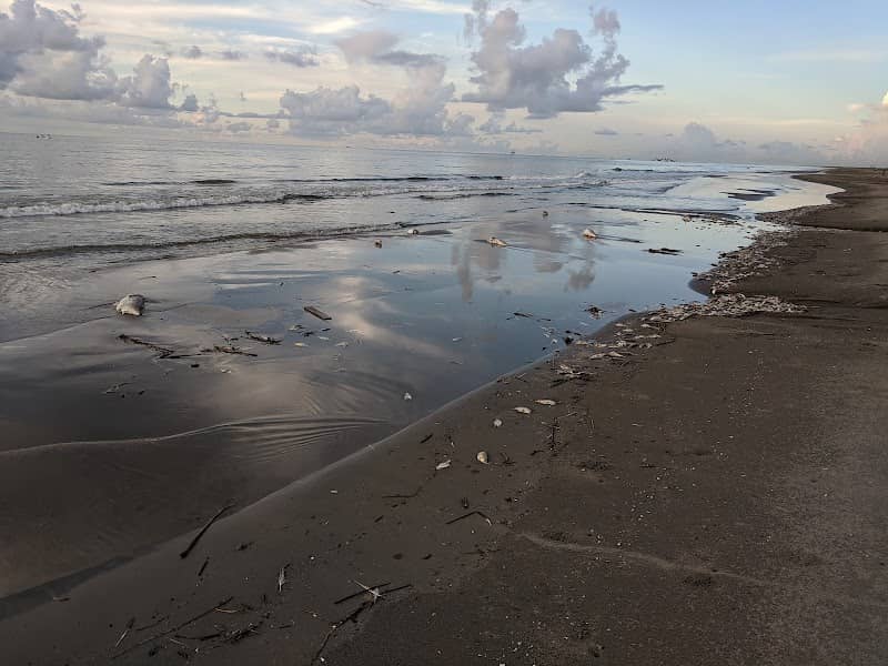 Elmer's Island Wildlife Refuge - Image 3