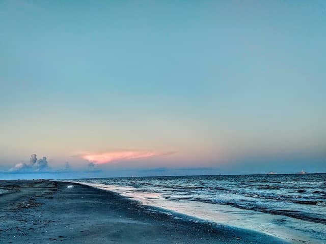 Elmer's Island Wildlife Refuge - Image 2