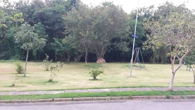 Praça José Xavier da Cruz. - Image 2