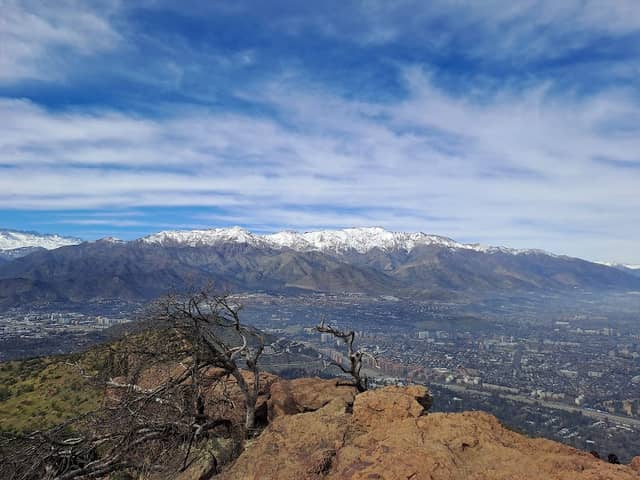 Manquehuito Hill - Image 1