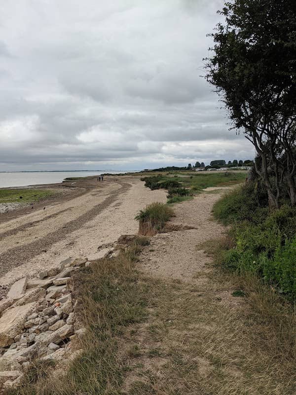 Cudmore Grove Lookout - Image 1