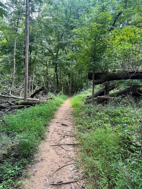 Harrods Creek Park - Image 2