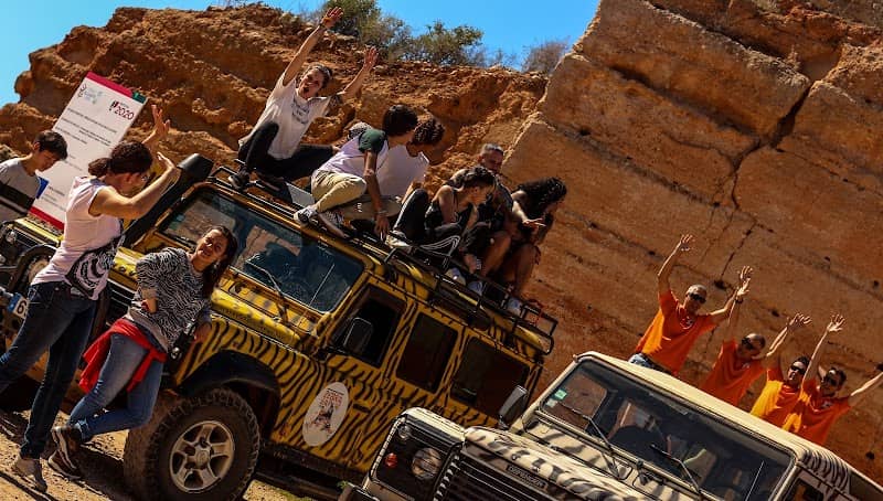 Zebra Safari Tours - Image 2