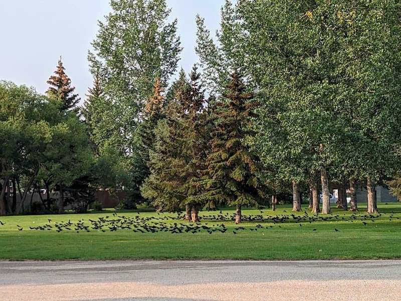 Wildwood Park - Image 2