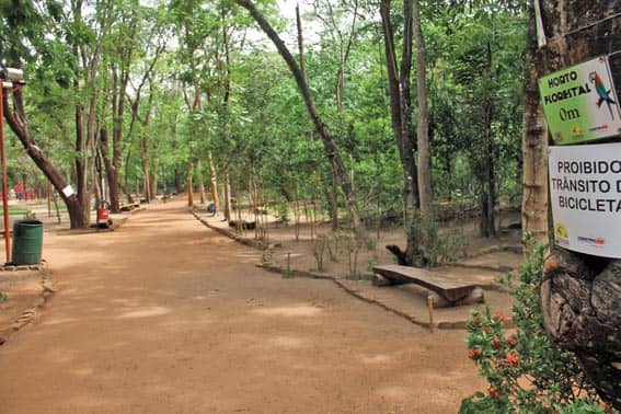 Horto Florestal de Rondonópolis - Image 1