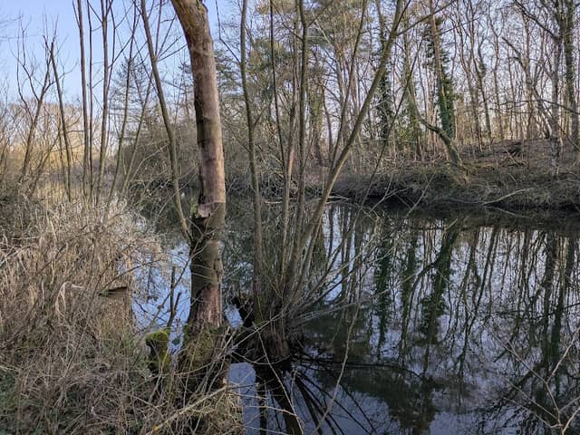 Throckley Reigh - Image 1