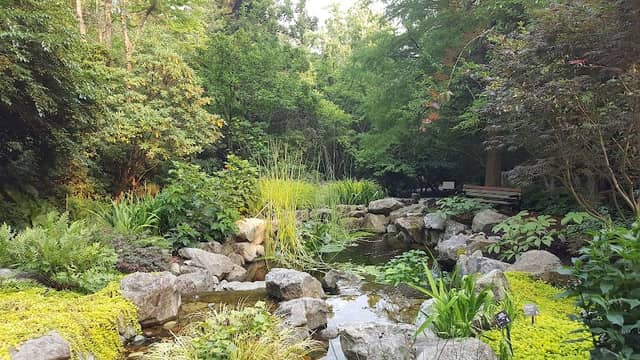 Darts Hill Garden Park - Image 2