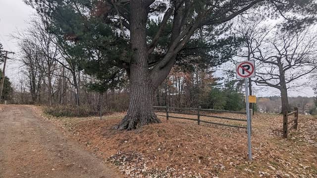 Murphy Hill - Image 2